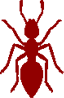 Уничтожение муравьев в Москве и Московской области, выезд дезинфектора, обработка от муравьев квартир, дачных участков, подвалов, общежитий, кафе от вредителей и паразитов